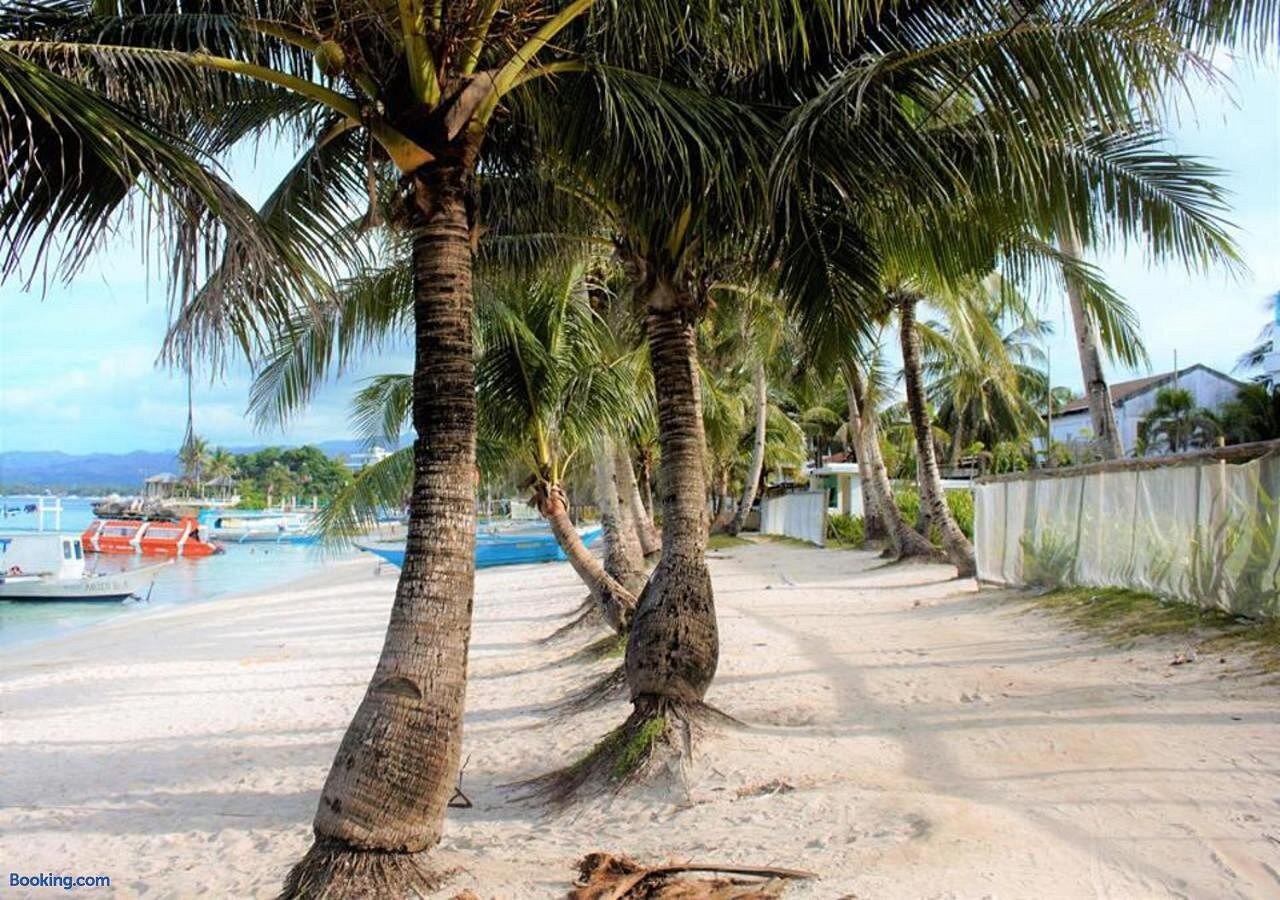 Palm trees lining Tambisaan Beach, Boracay — the calm shore right outside Happy's Homestay